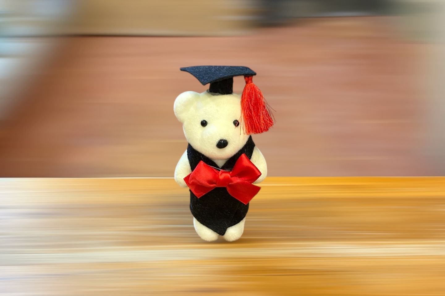 Graduation Bear