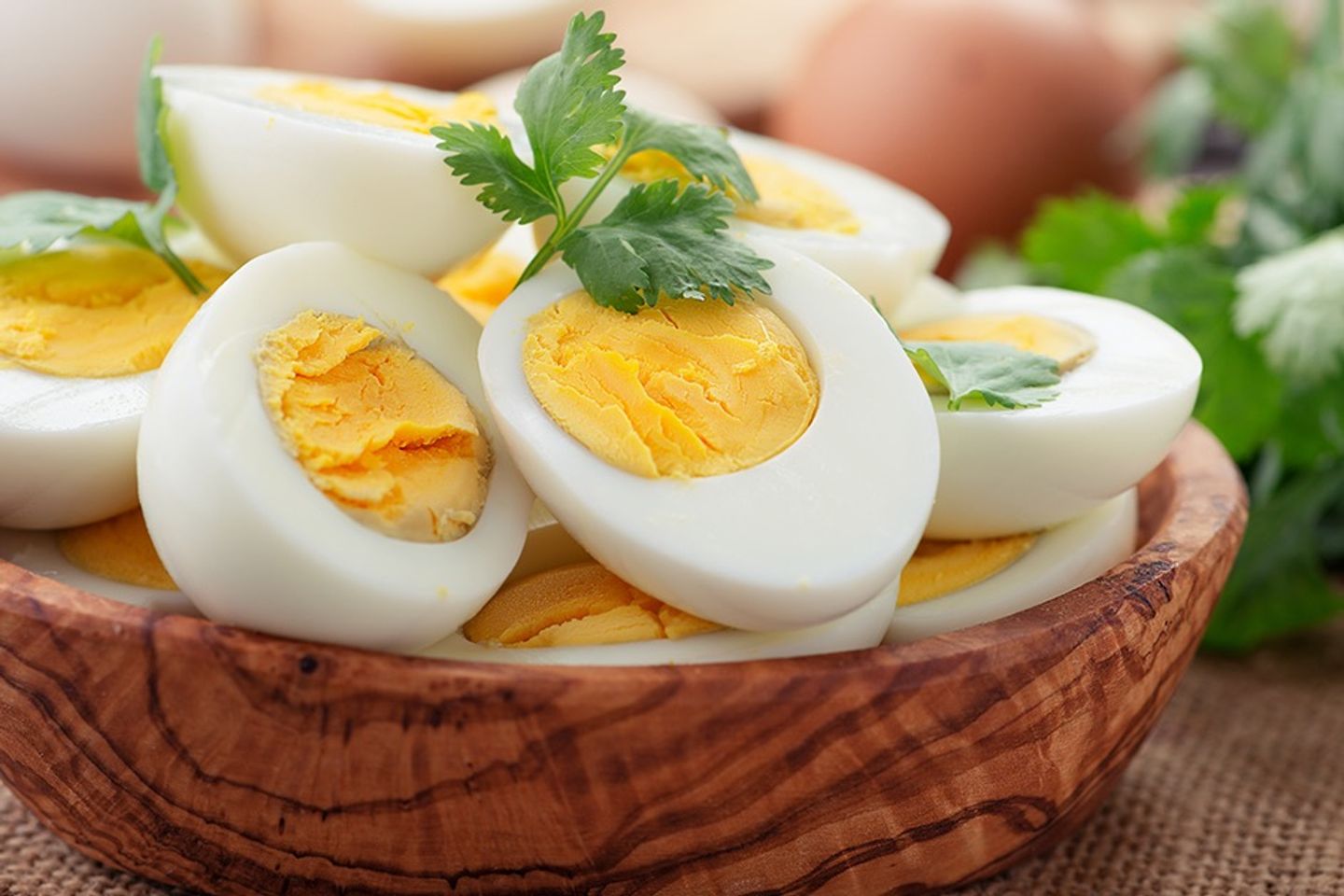 Boiled Egg Sandwich