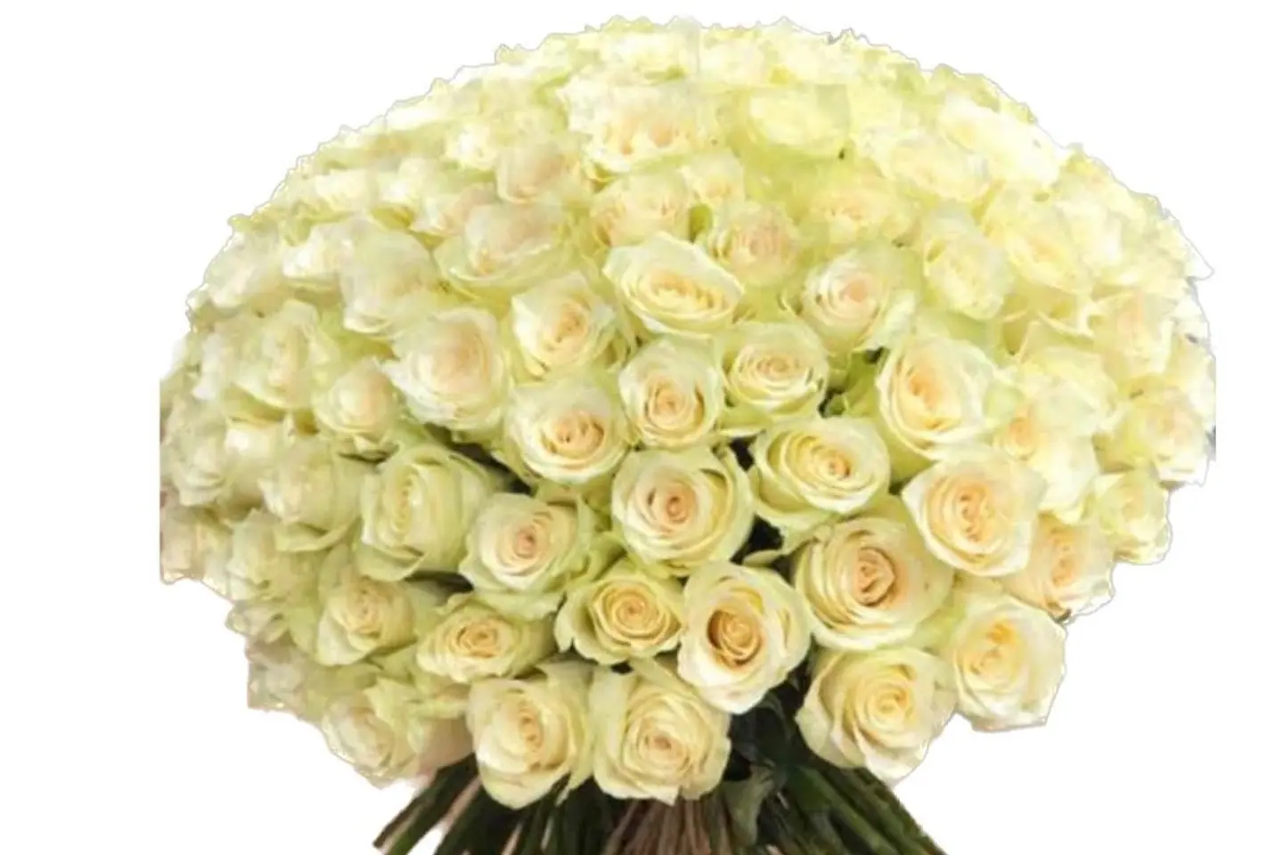Bouquet Br 5