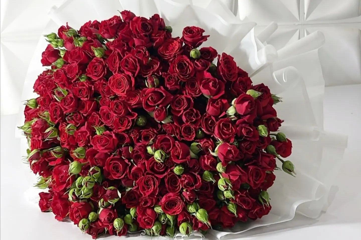 وردة و شتلة ٠٠