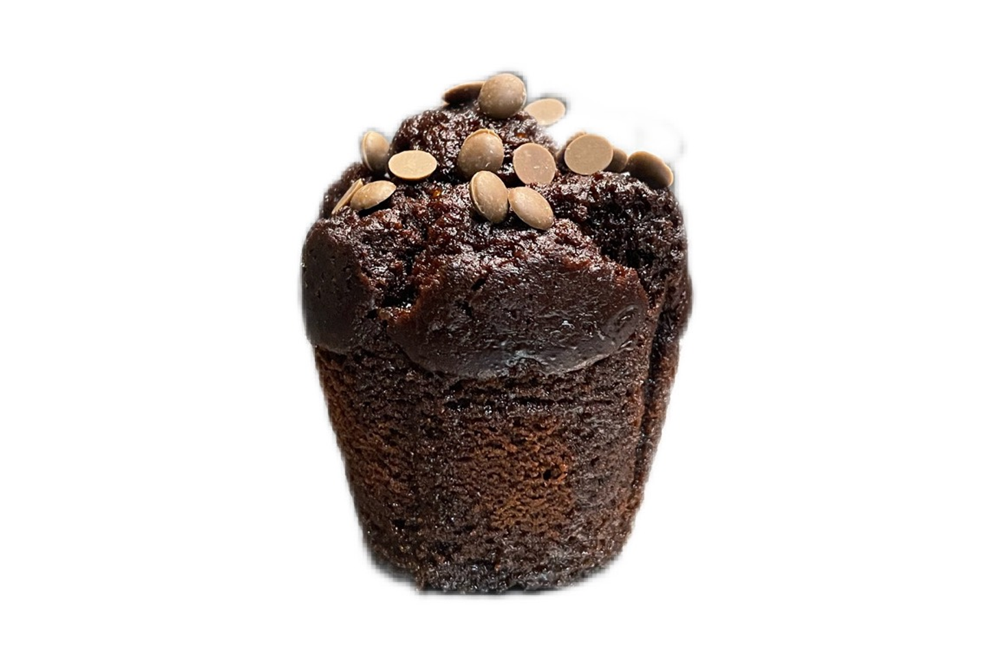 Chocolate Muffin