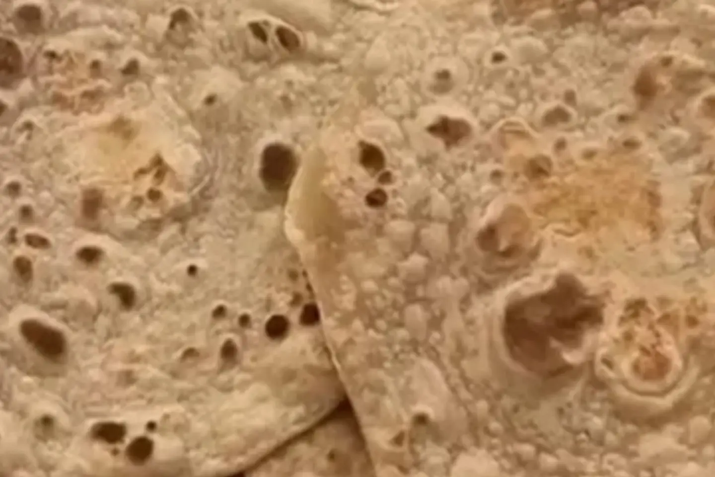 شباتي بر