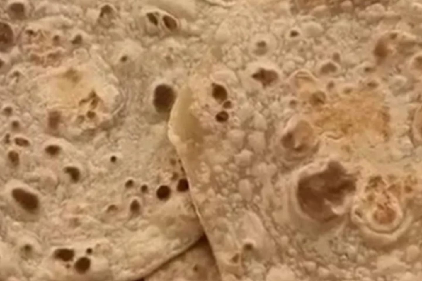 شباتي بر