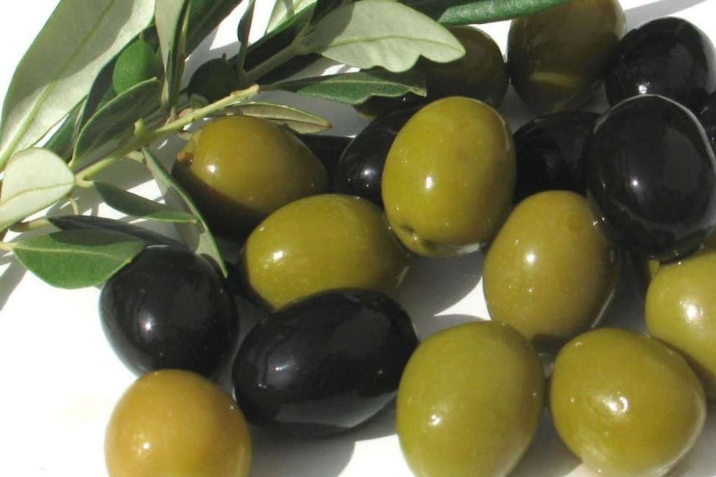 Olive