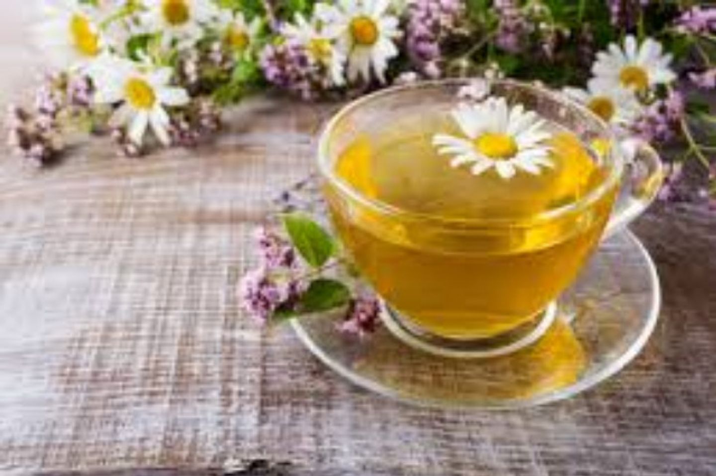 بابونج ساخن