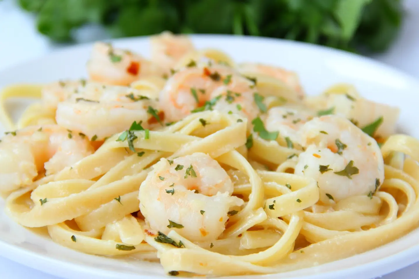 Fettuccine With Shrimp