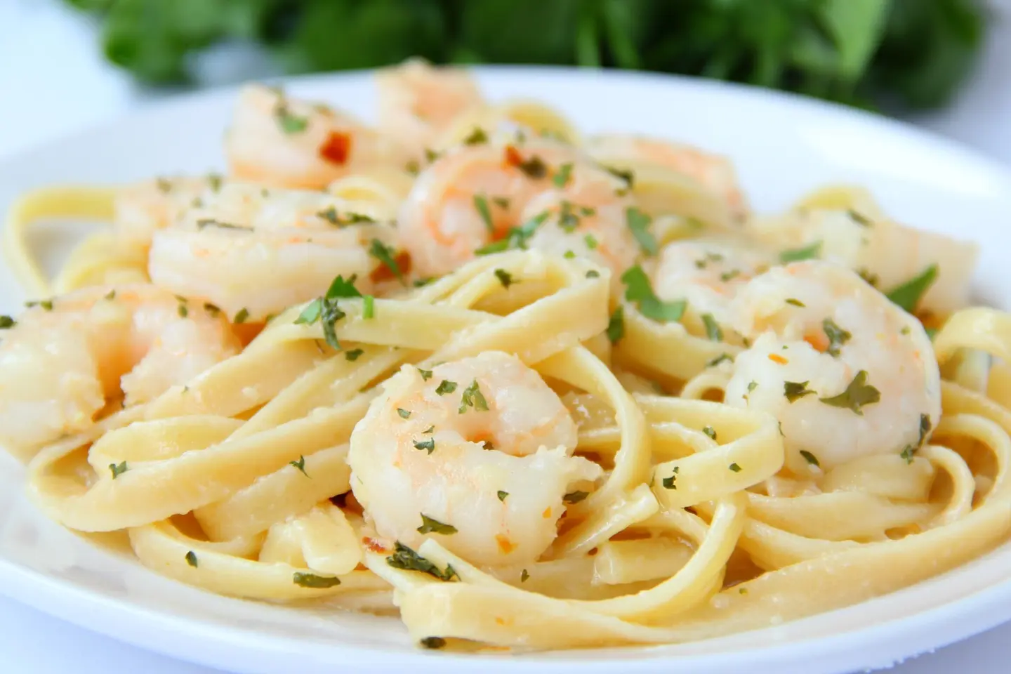 Fettuccine With Seafood