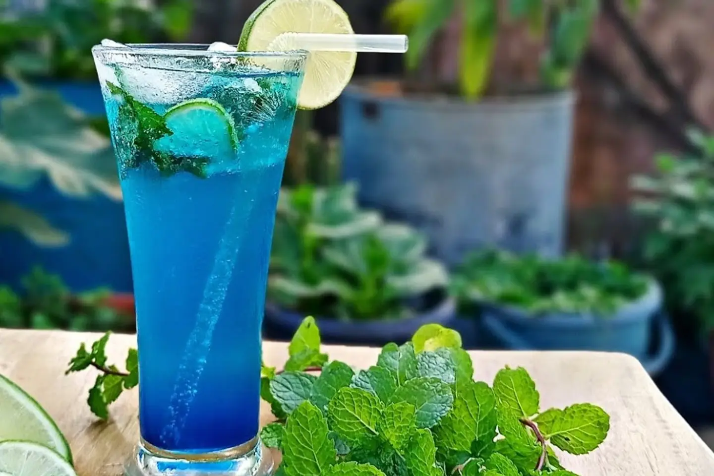 Citrus Mojito