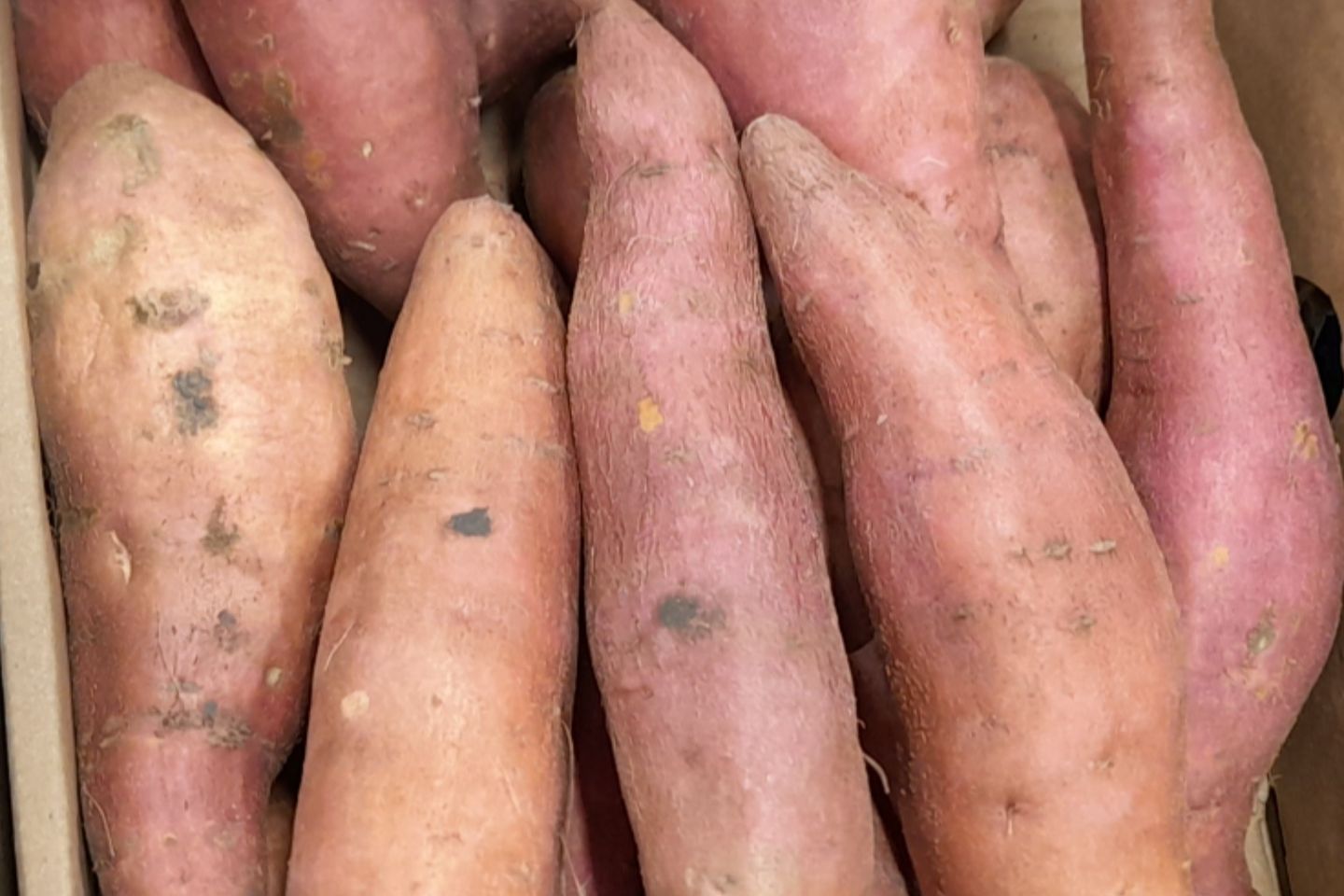 بطاطا حلوة ابيض