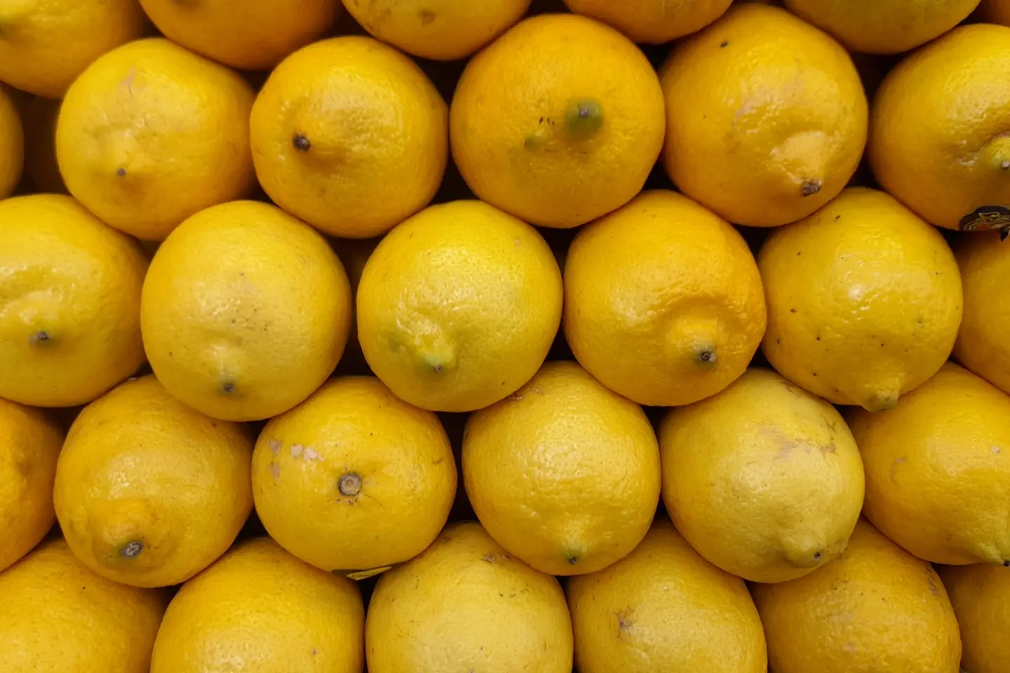 ليمون