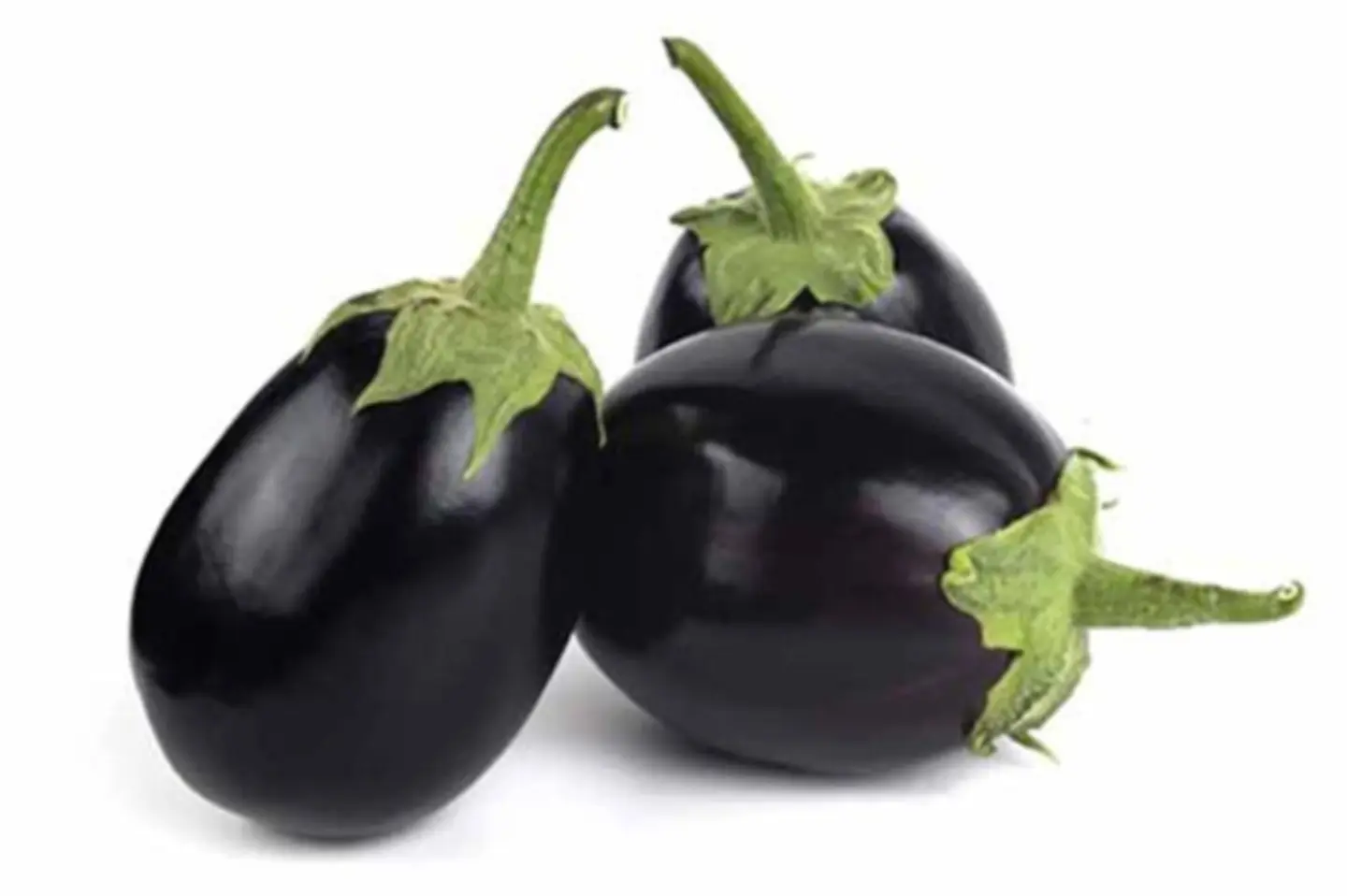 باذنجان صغير
