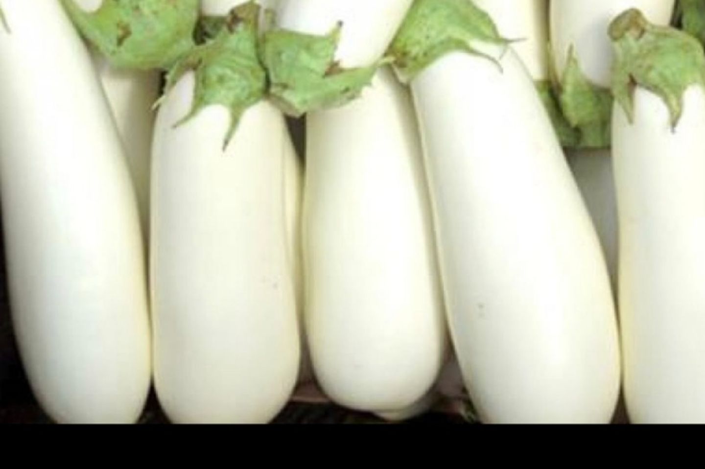 باذنجان أبيض