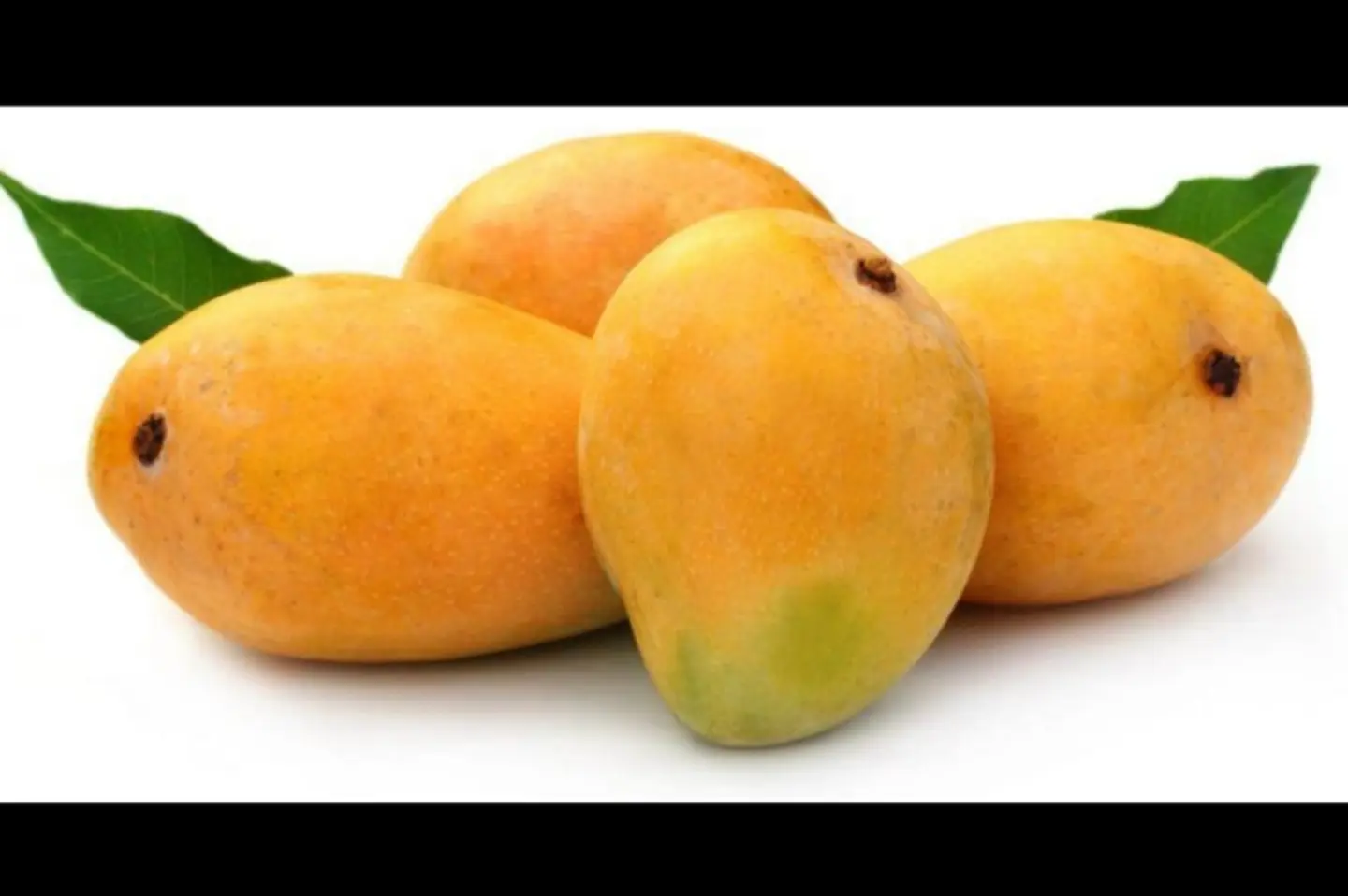 مانجو جيزاني