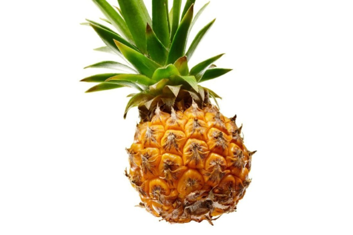أناناس صغير