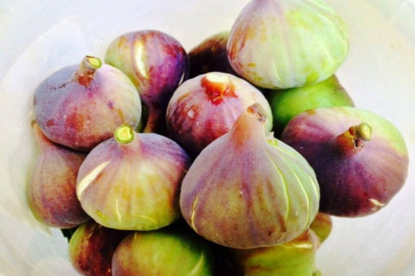 تين طازج