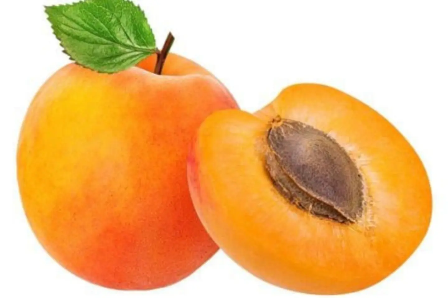 Apricotss