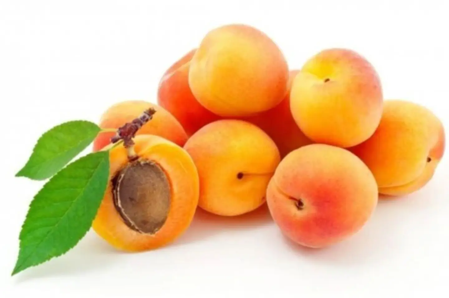 Tabuk Apricots