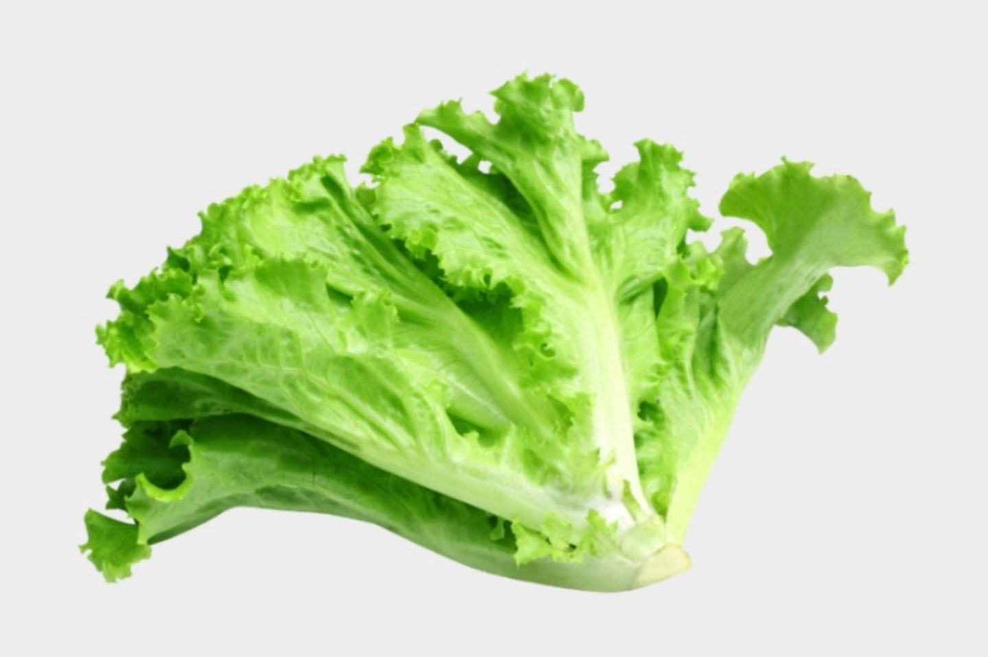 خس