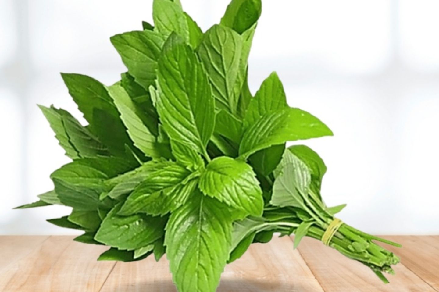 نعناع