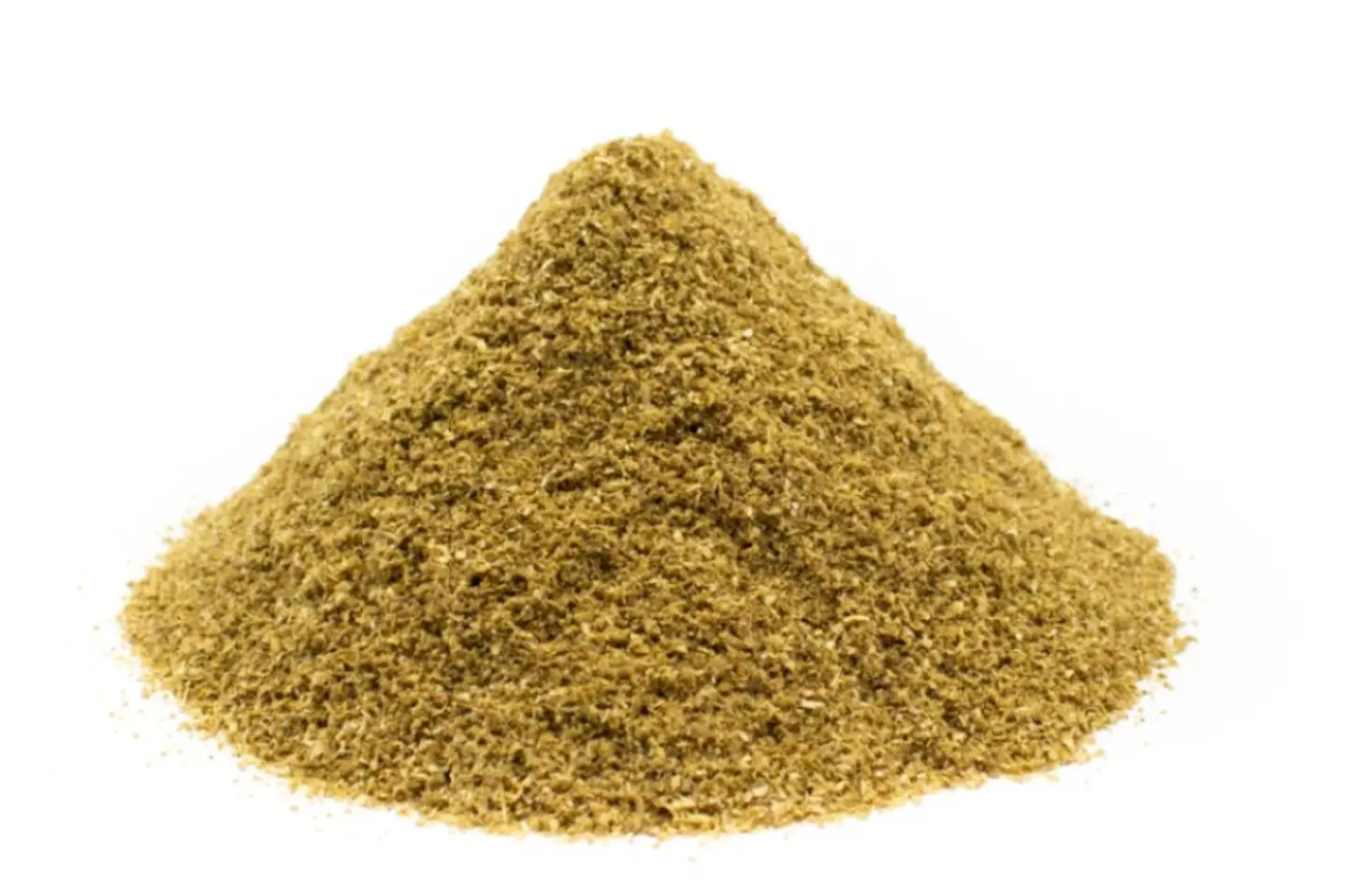كزبرة ناعم