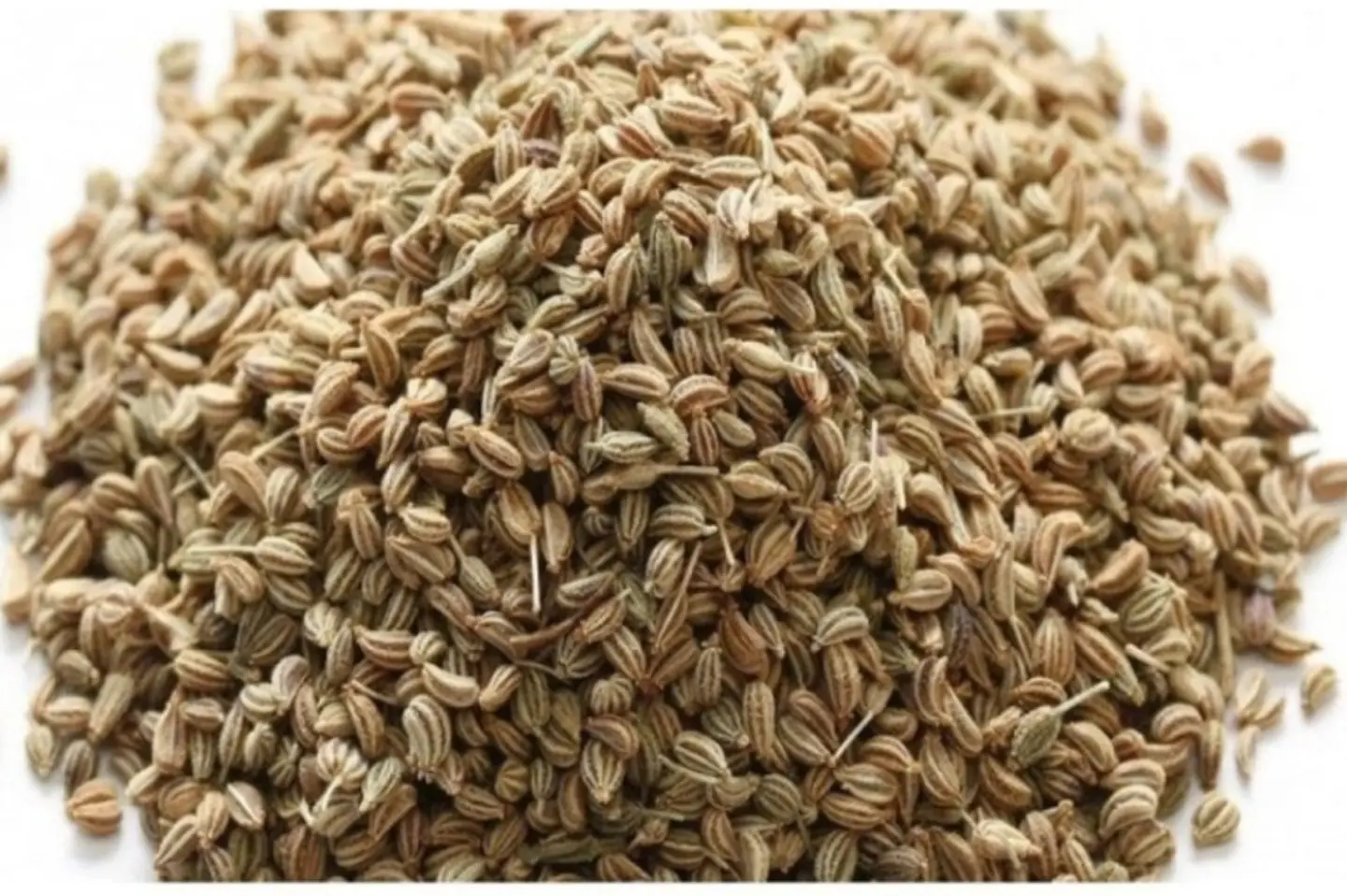نانخة حب