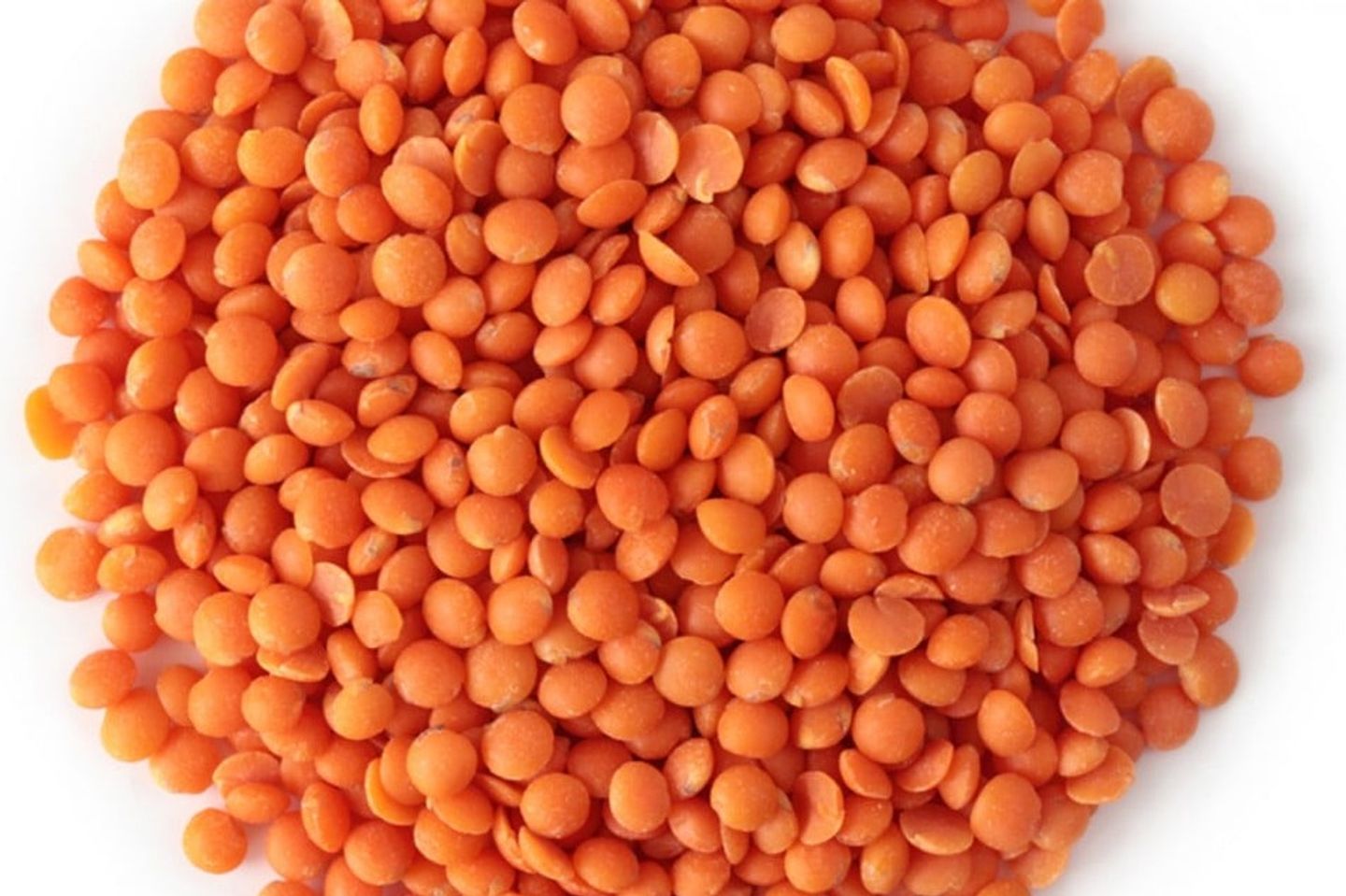 عدس احمر