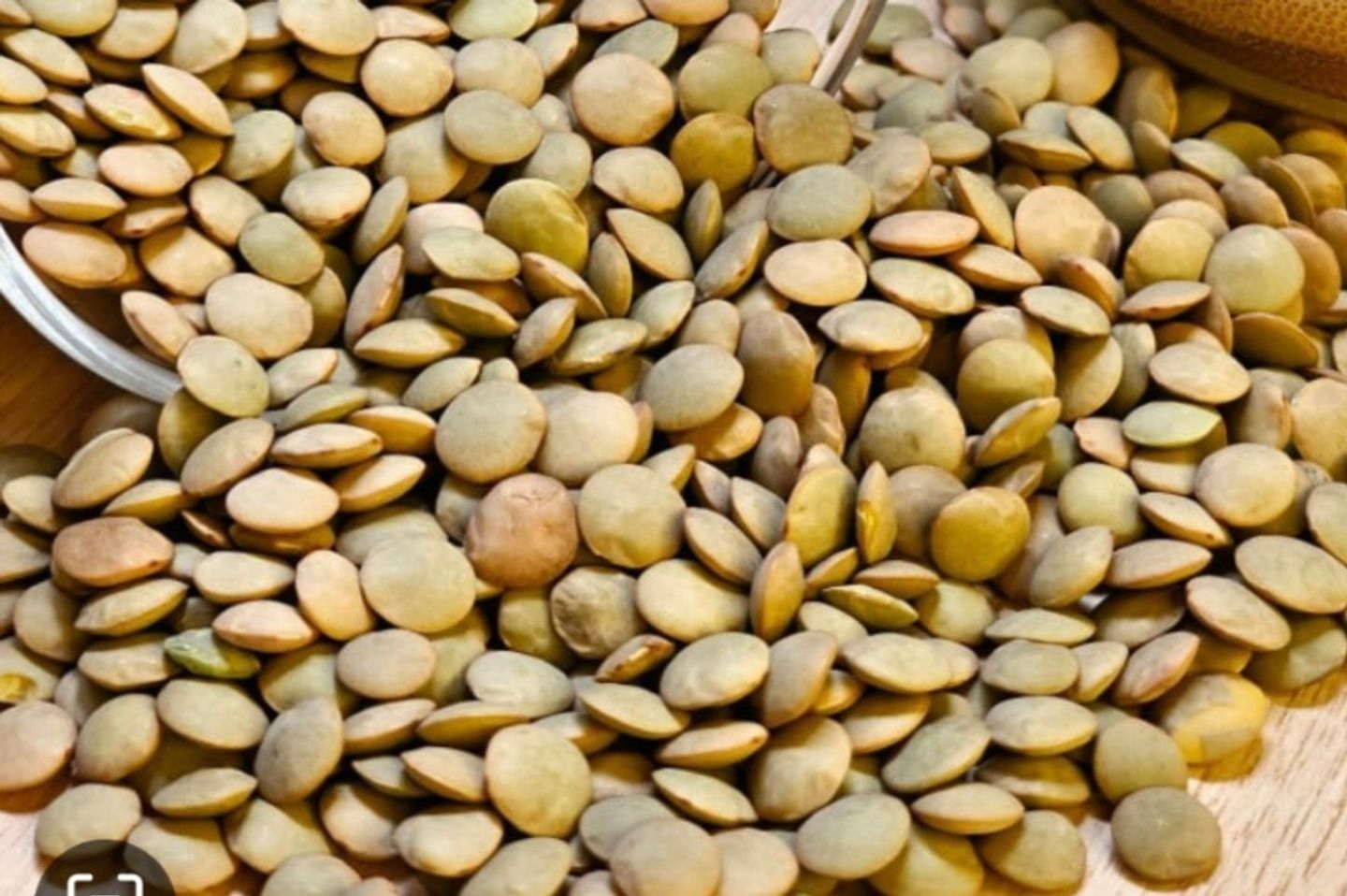 عدس أبو جبه