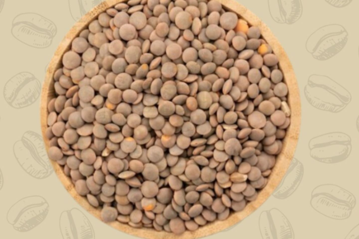 عدس اسود