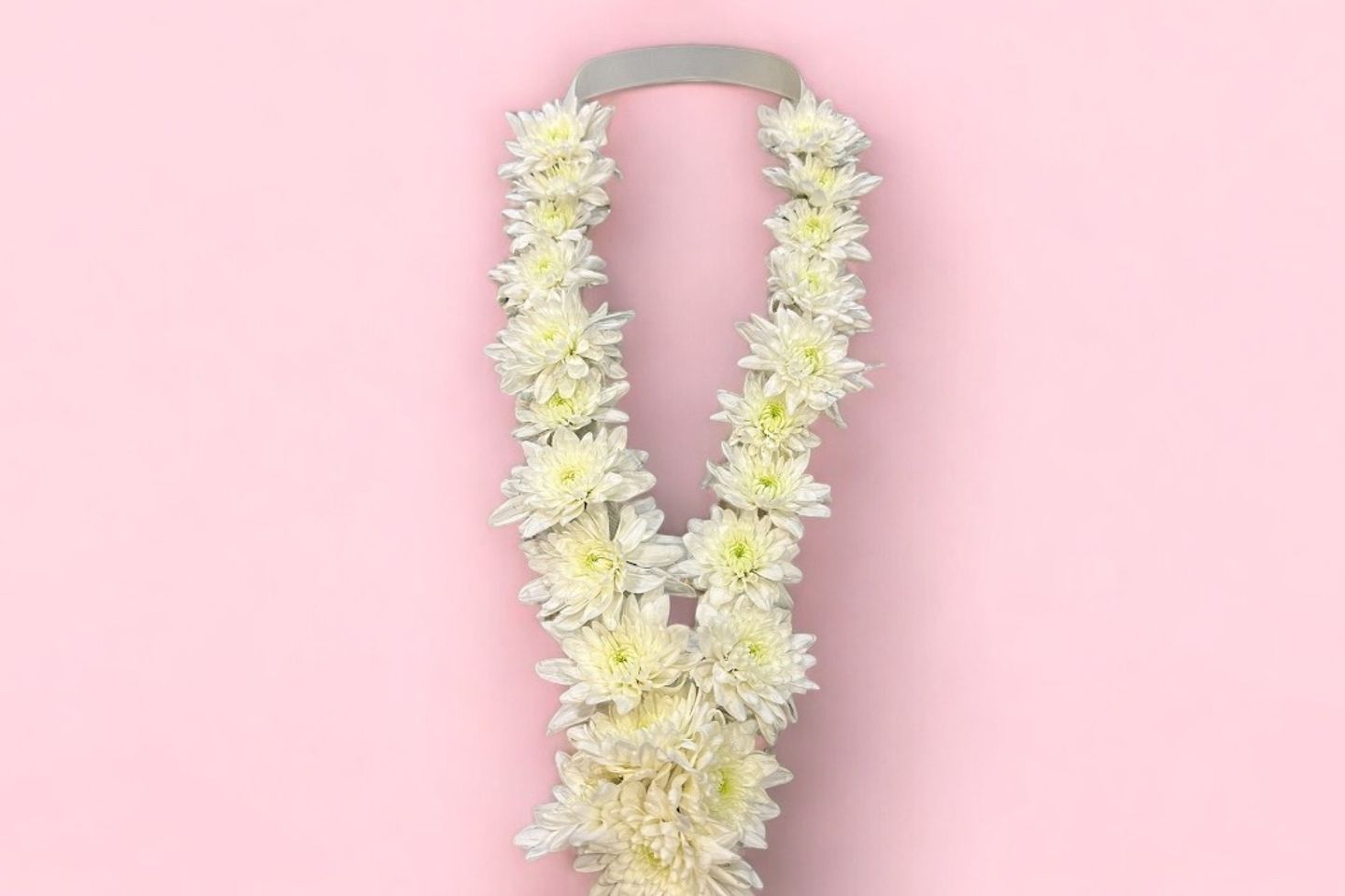 Natural Rose Necklace White Cherry