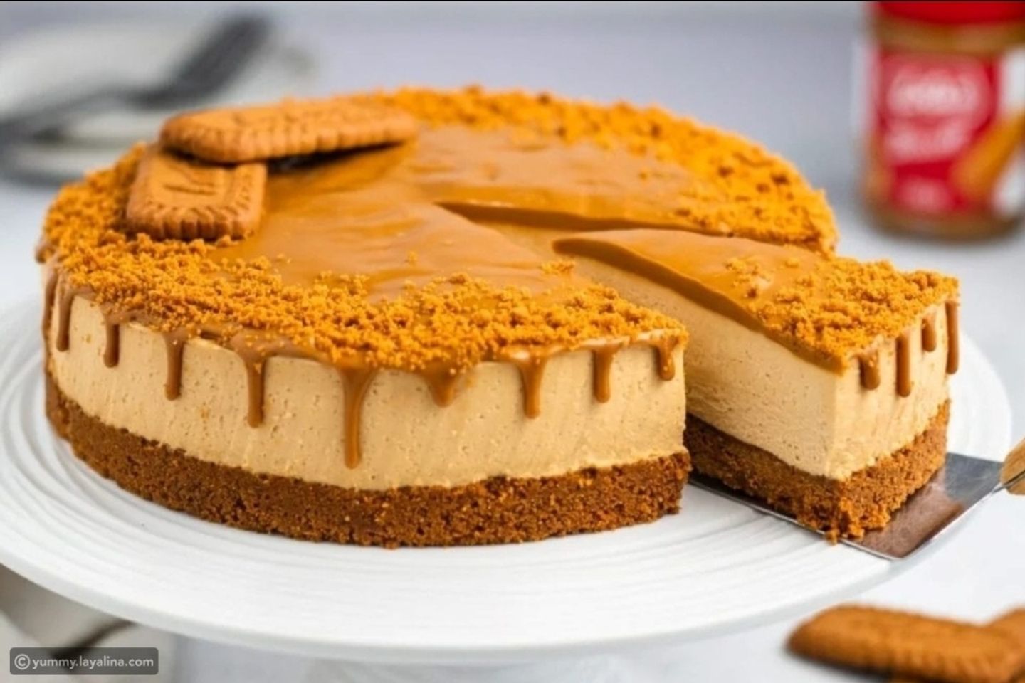تشيز كيك لوتس