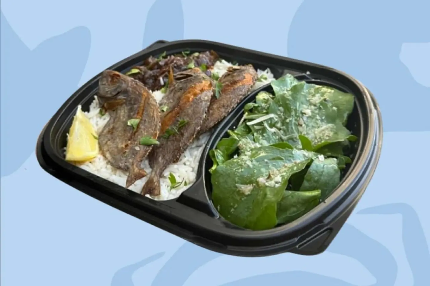 Offer Safi