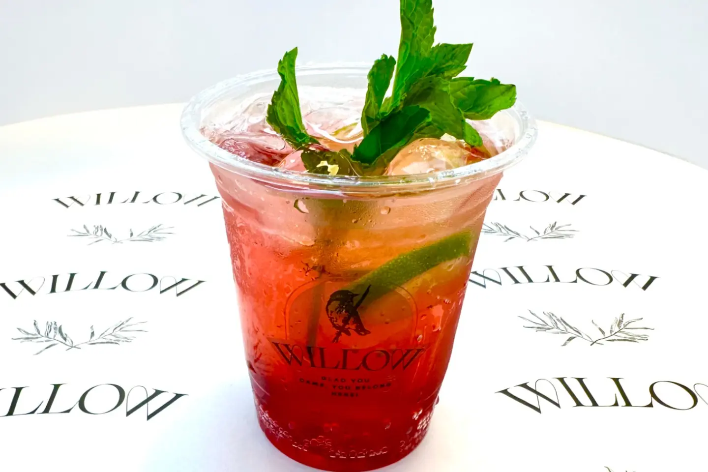 Pomegranate Mojito