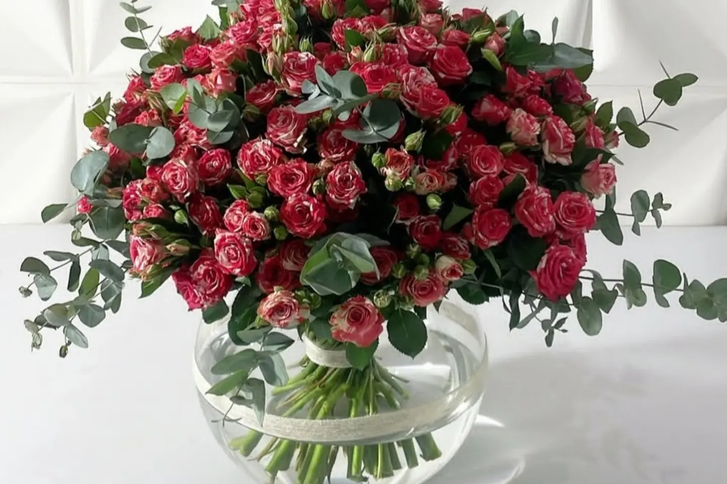 وردة و شتلة ٠٠٢٦٣