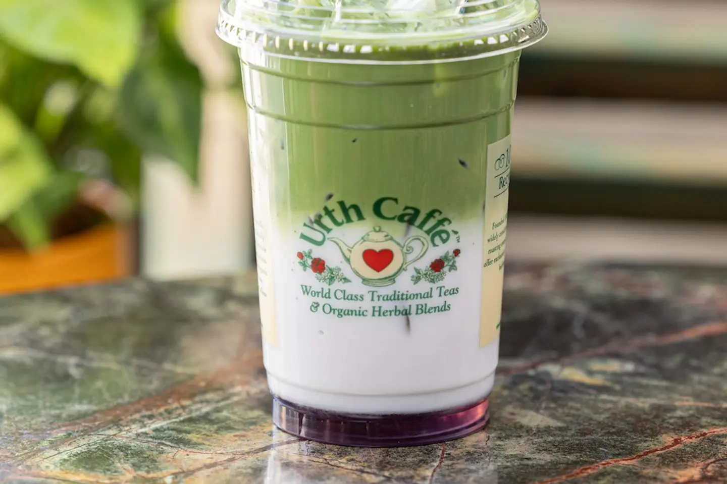 ماتشا لاڤندر