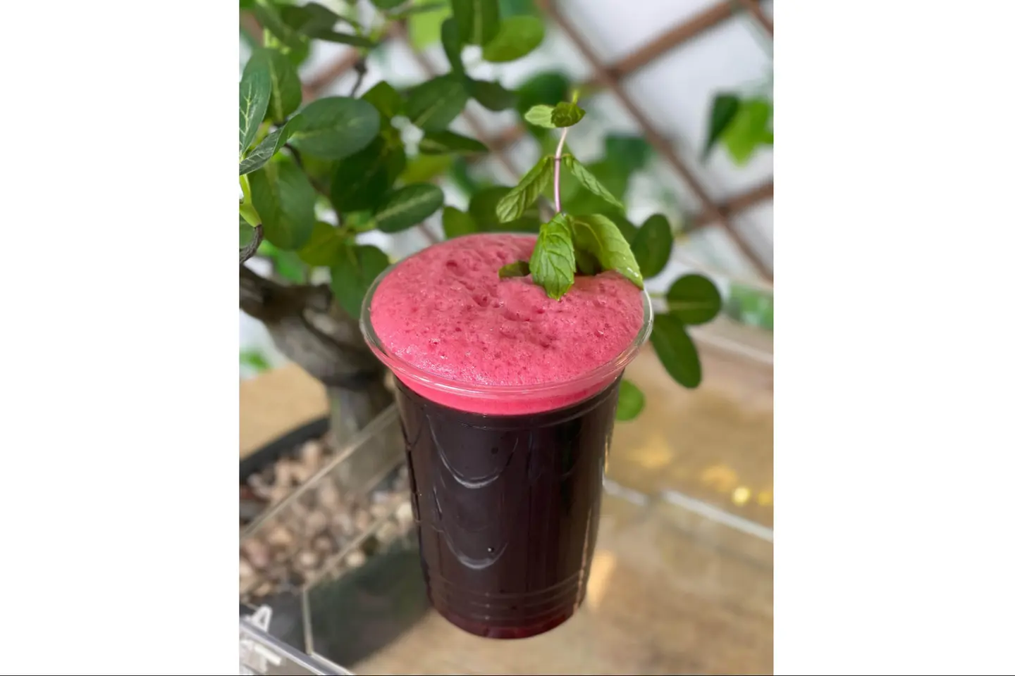 Hibiscus With Strawberry