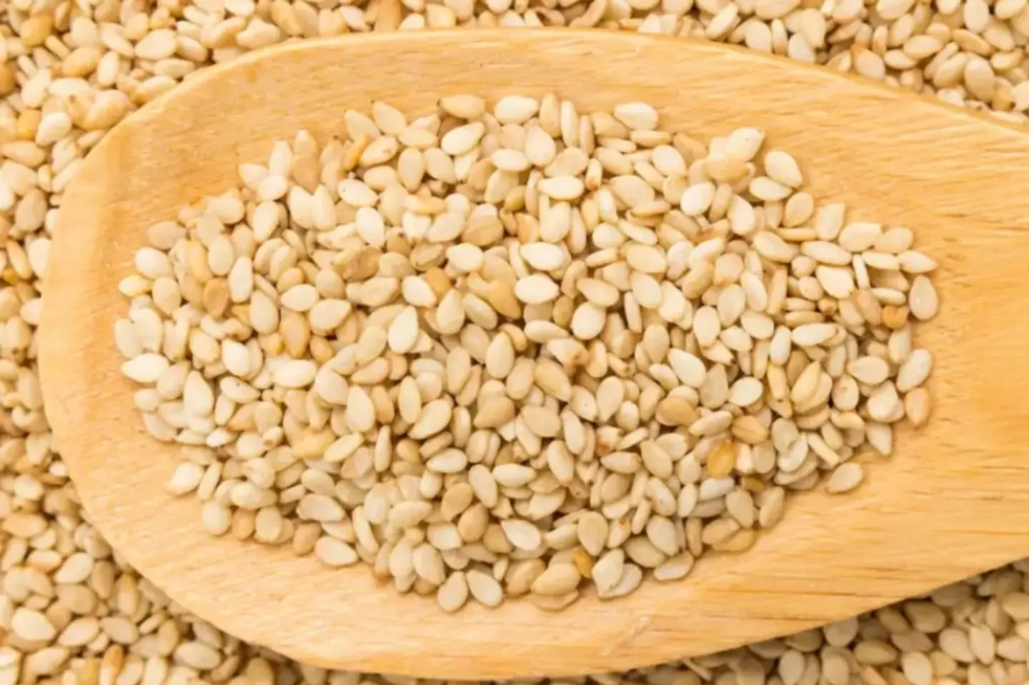 Sesame