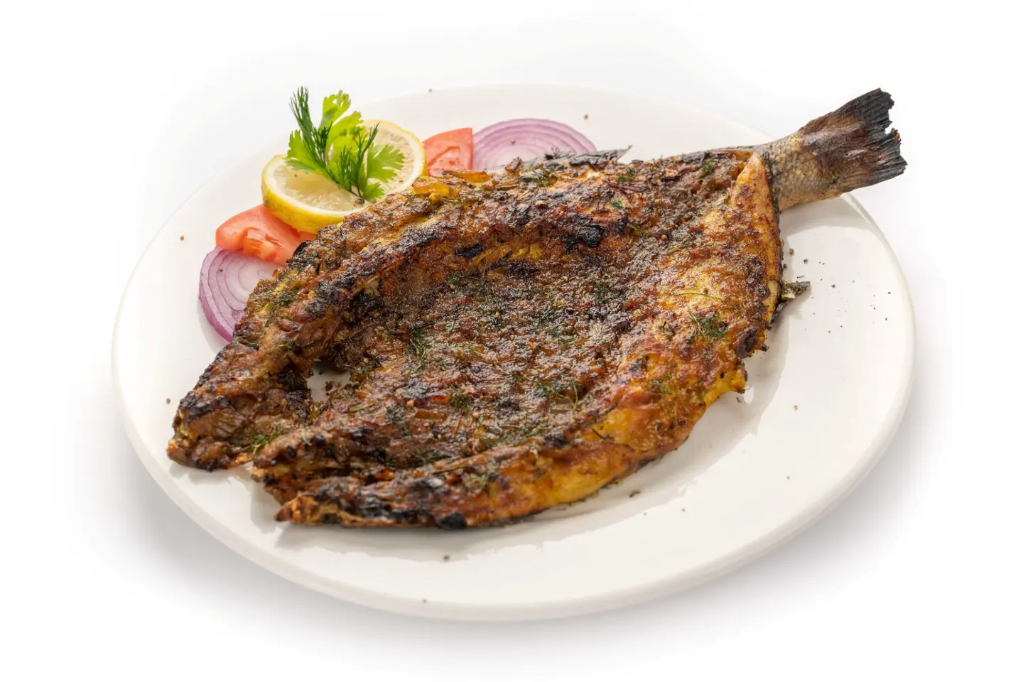 Fish Sibas