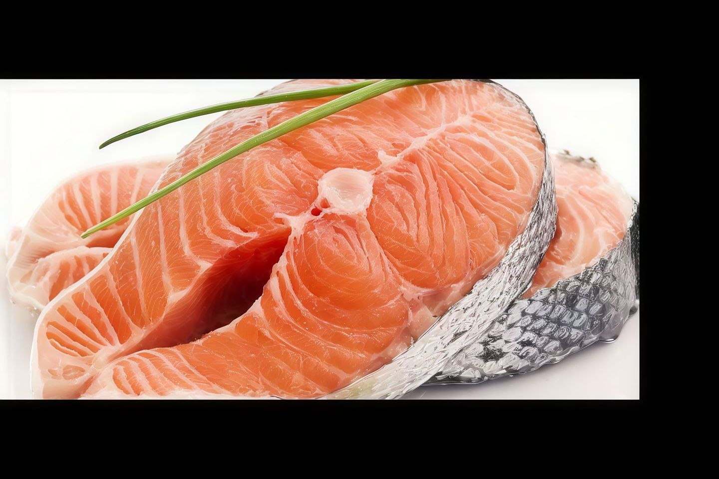 Salmon