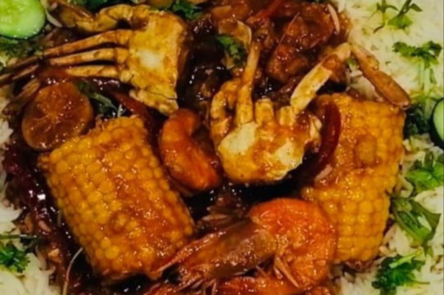 قنبلة ثمار البحر
