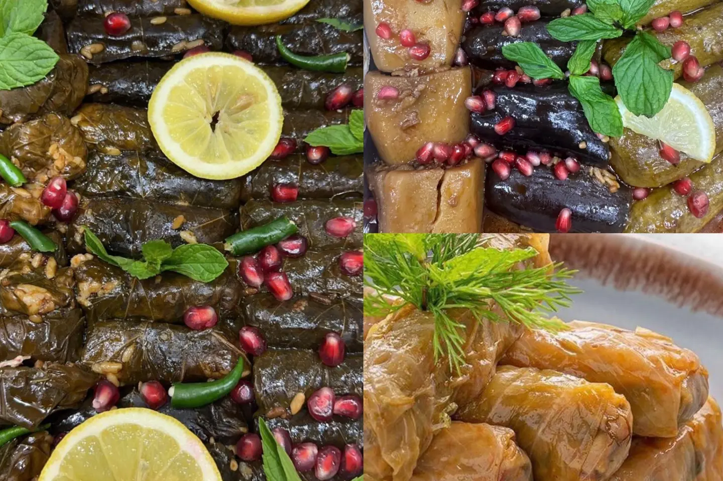 بوكس المحاشي