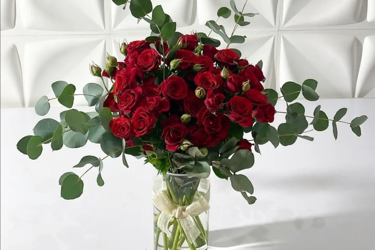 وردة و شتلة ٠٠