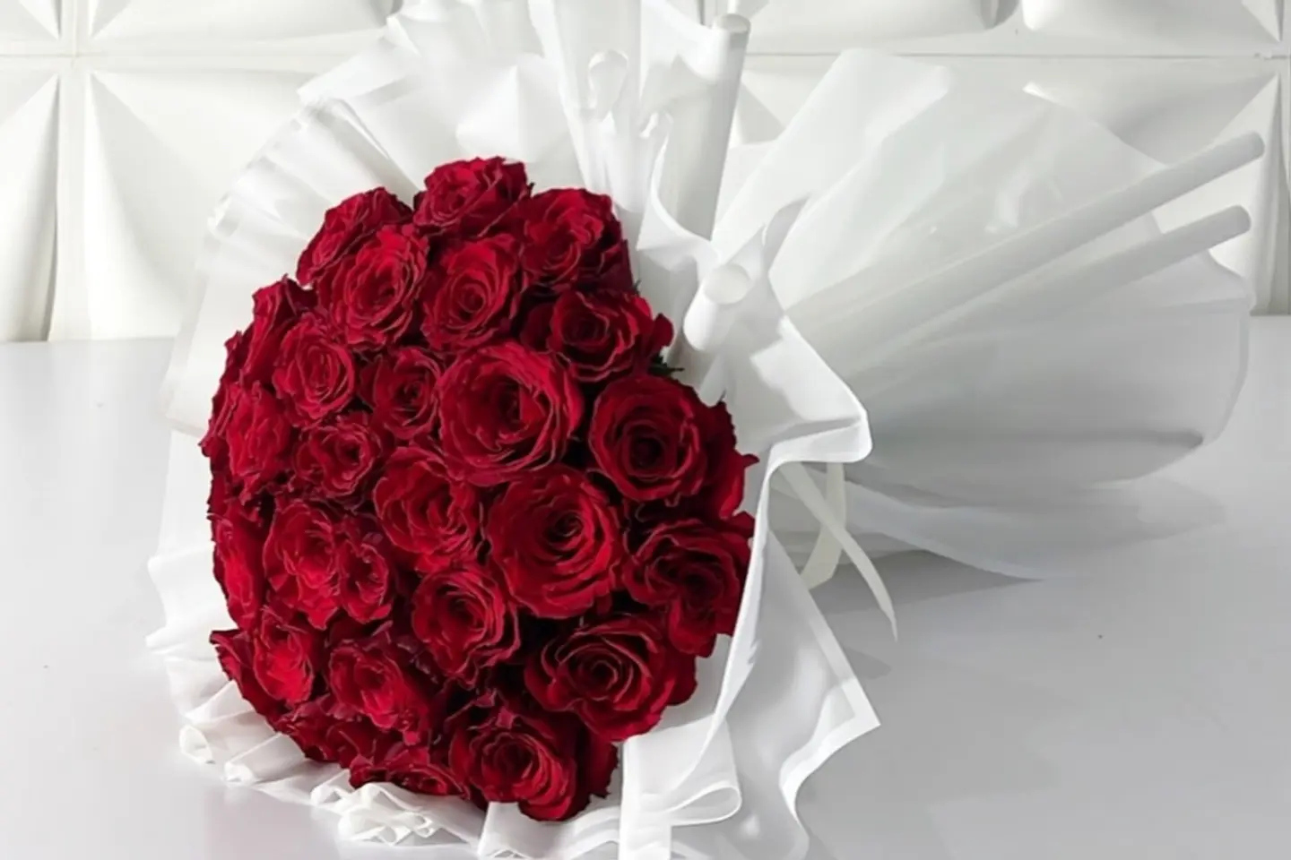 وردة و شتلة ٠