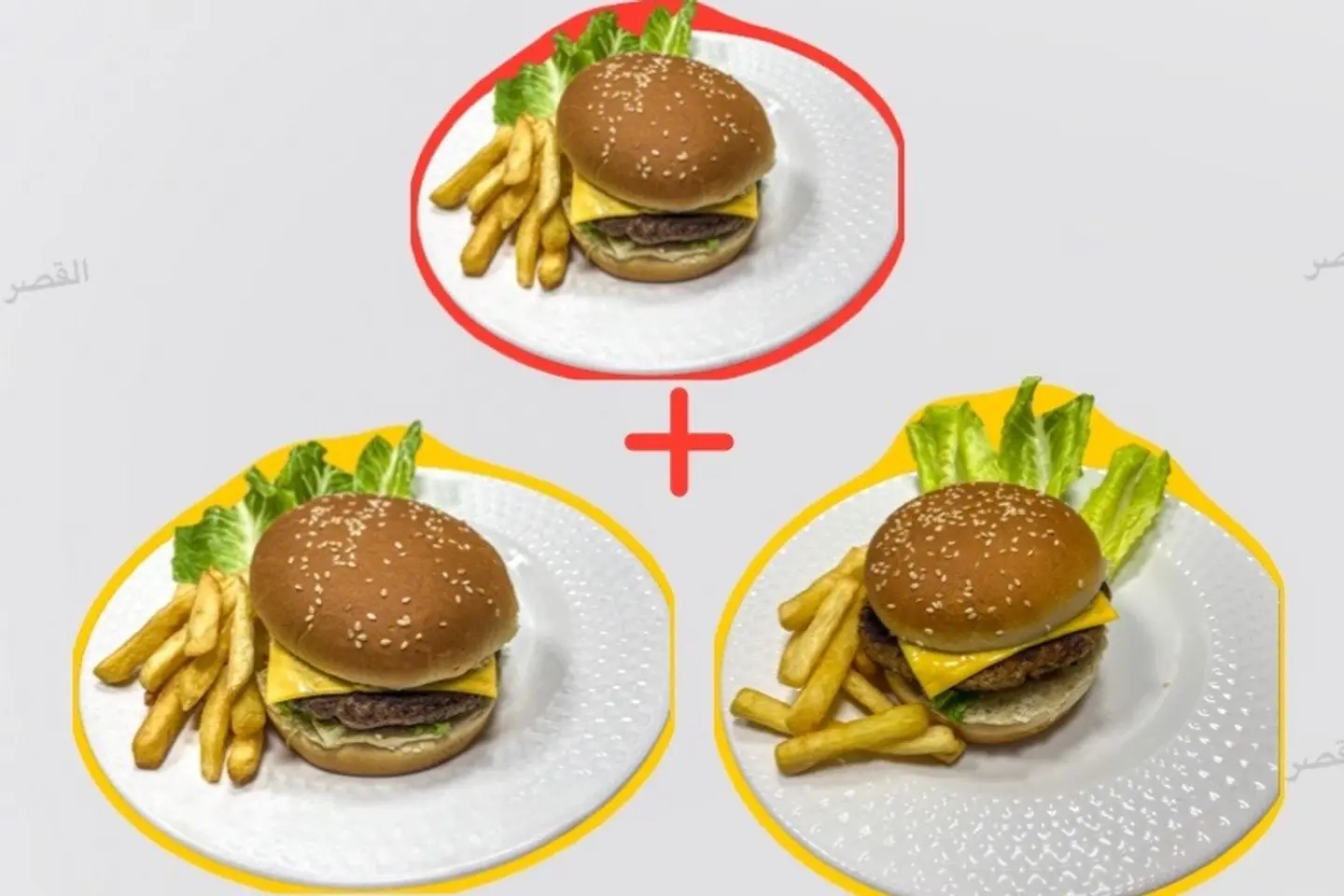 Burger Offer