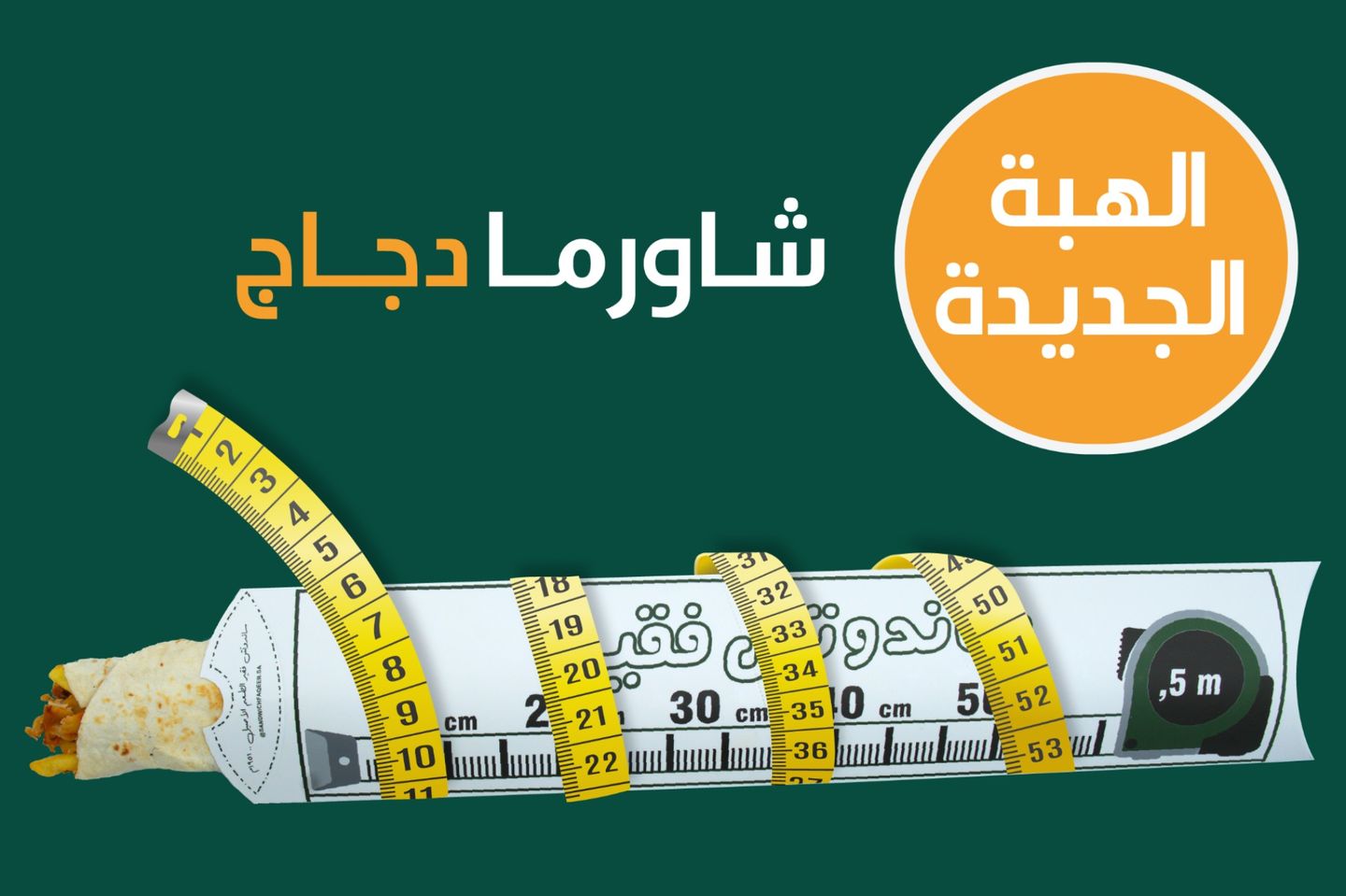 50cm Chicken Shawarma