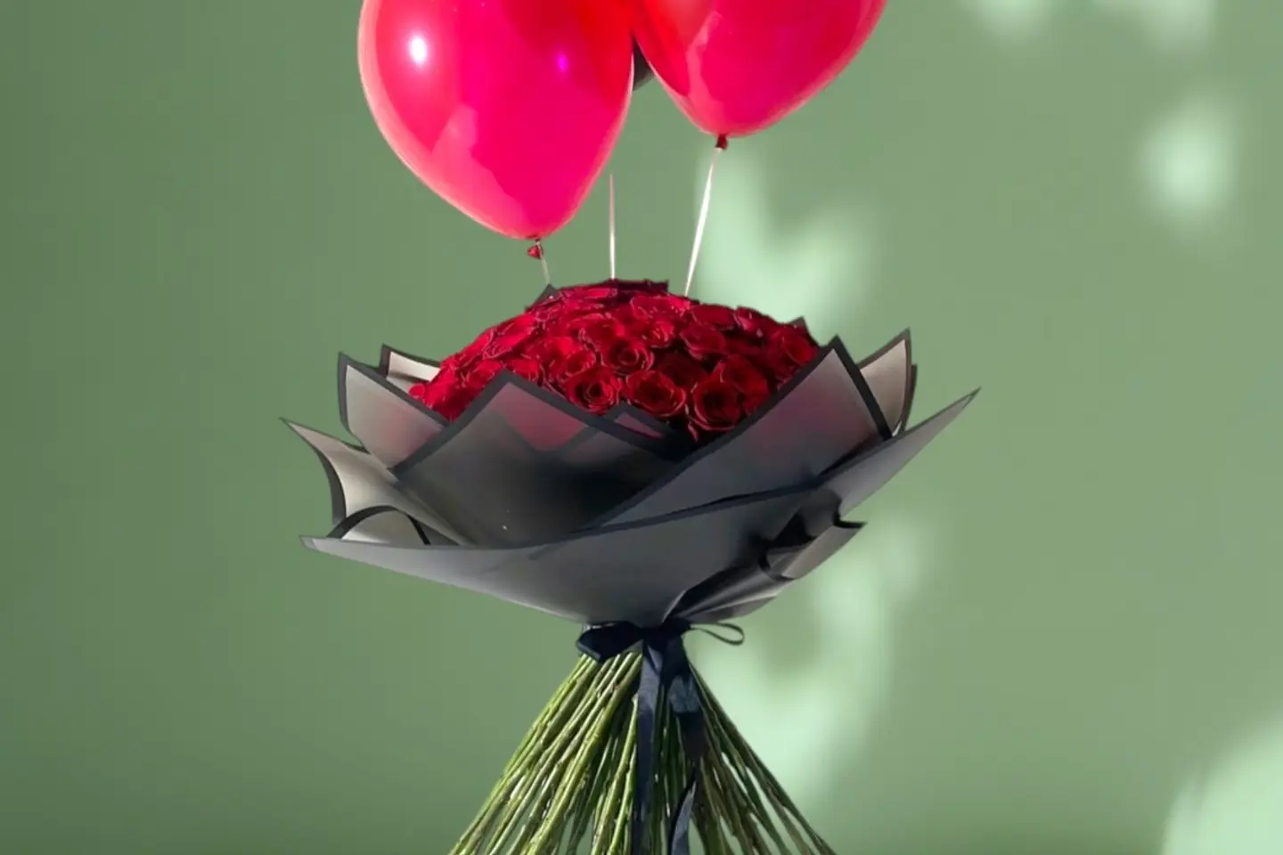 وردة و شتلة ٠٠