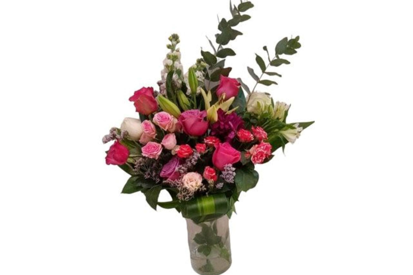 فازه إمتنان