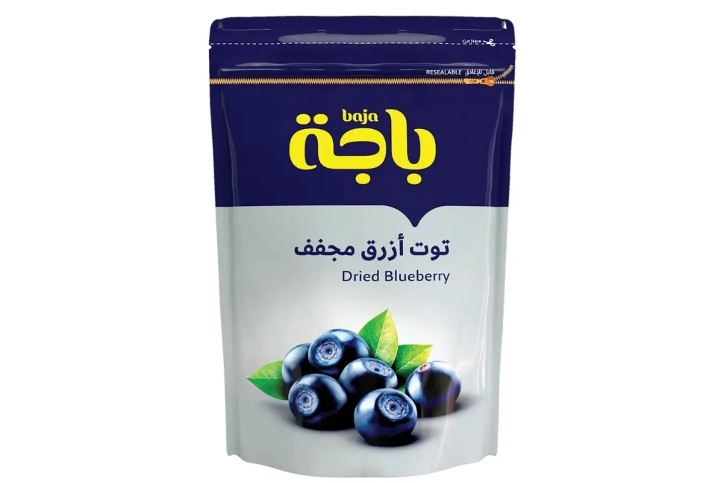 Dried Blueberry