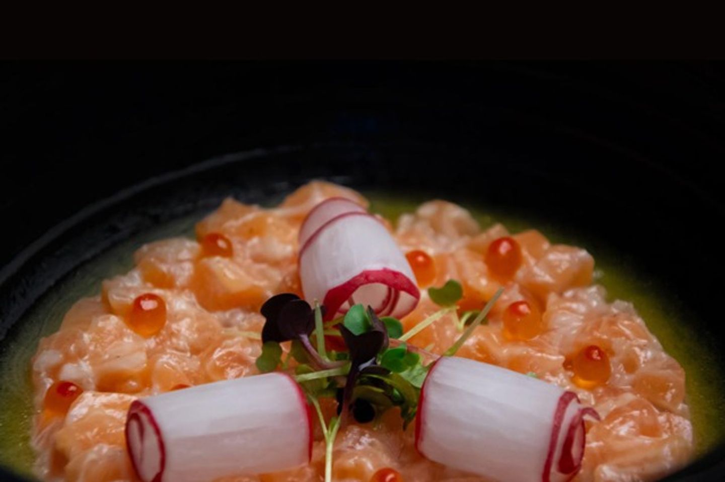 Salmon Ceviche