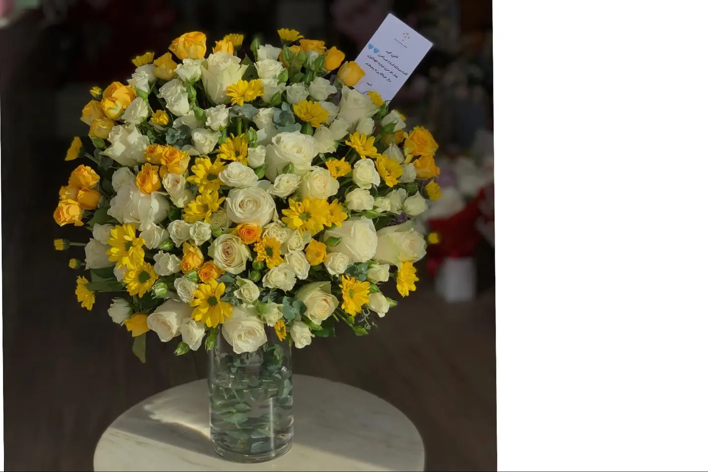 فازة مولود ١