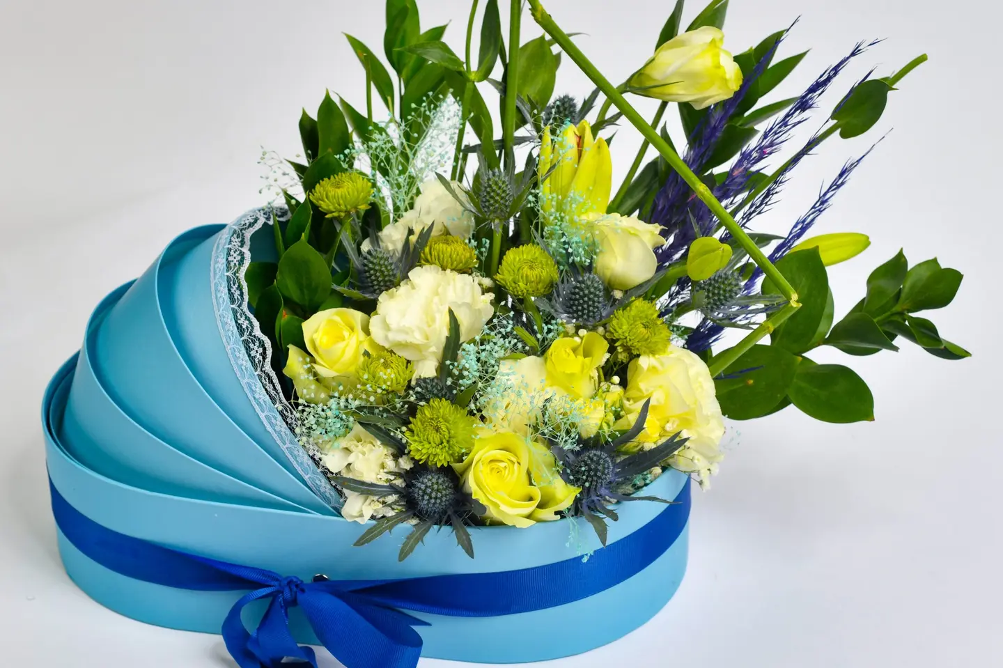 وردة و شتلة ٠٠٠١٦